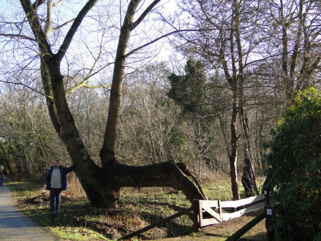 NWK 2010 182.jpg
